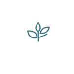curated experiences